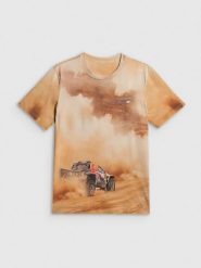 4F T-shirt regular z nadrukiem męski - beżowy XXL. Brązowe t-shirty 4F, m, bez wzorów, z materiału, bez kołnierzyka, bez ramiączek. Za 99.99 zł.