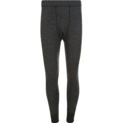 Legginsy Whistler Bradley. Szare bielizna termoaktywna WHISTLER, m, bez wzorów, bez ramiączek, narciarskie. Za 249.00 zł.