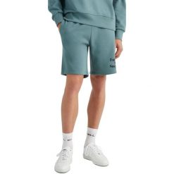 Spodenki męskie O'Neill Future Surf. Brązowe szorty O'Neill, m, bez wzorów. Za 249.00 zł.