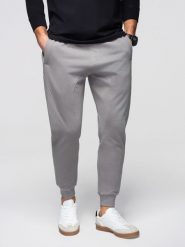 Męskie spodnie dresowe ze ściągaczem przy nogawce BASIC jogger - szare V8 - Rozmiar: M. Szare joggery i bojówki Ombre Clothing, m, z aplikacjami, z bawełny. W wyprzedaży za 118.99 zł.