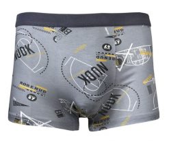 Bokserki Obcisłe, Szare z Nadrukiem, Koszykówka, Bawełniane, Majtki z Elastanem -ALTIES. Szare bokserki Alties, l, bez wzorów, z bawełny. Za 35.00 zł.