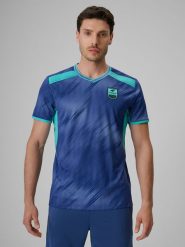 4F Koszulka piłkarska regular szybkoschnąca męska - denim L. Niebieskie t-shirty 4F, l, bez wzorów, z denimu, bez kołnierzyka, bez ramiączek. Za 129.99 zł.