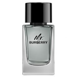 BURBERRY Mr. Burberry Woda toaletowa 100 ml Męskie. Perfumy męskie Burberry. Za 450.79 zł.