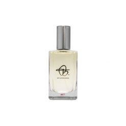 BIEHL eo01 EDP 100ml. Perfumy męskie BIEHL. Za 458.90 zł.