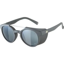 Okulary przeciwsłoneczne Alpina Glace P. Czarne okulary przeciwsłoneczne Alpina. Za 303.00 zł.