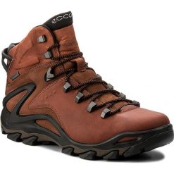 Trekkingi ECCO - Terra Evo GORE-TEX 82650452358 Cognac/Cognac. Trekkingi marki ecco. W wyprzedaży za 499.00 zł.