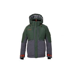 Kurtka narciarska męska Phenix Alpine Active Gtx. Zielone kurtki narciarskie i snowboardowe Phenix, l, bez wzorów, z poliesteru, narciarskie. W wyprzedaży za 1,110.00 zł.