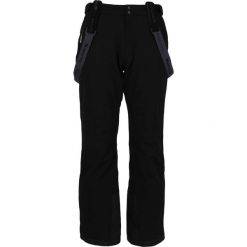 Spodnie narciarskie męskie Whistler Gippslang W-PRO 15000. Czarne spodnie narciarskie i snowboardowe WHISTLER, l, bez wzorów, narciarskie. Za 399.99 zł.