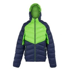 Męska Kurtka Ocieplana Z Kapturem Dalent. Niebieskie kurtki Regatta, m, bez wzorów, z puchu, z kapturem. Za 154.99 zł.