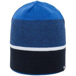 4F Męska Czapka H4Z17 cam004 Niebieski Melanż L-Xl. Niebieskie czapki zimowe marki 4F, melanż, z elastanu. W wyprzedaży za 24.00 zł.