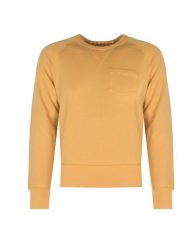 Champion Bluza | D918X6 | Mężczyzna | Żółty. Żółte bluzy Champion, m, bez wzorów, z bawełny, bez kaptura. W wyprzedaży za 159.00 zł.