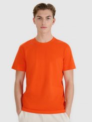 4F T-shirt regular z nadrukiem męski - pomarańczowy XXL. Brązowe t-shirty 4F, m, bez wzorów, z bawełny, bez kołnierzyka, bez ramiączek. W wyprzedaży za 39.99 zł.