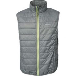 Kurtka puchowa Pro-X Elements Hasn. Szare kurtki PRO-X ELEMENTS, m, bez wzorów, z puchu, bez kaptura. Za 349.50 zł.
