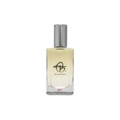 BIEHL pc02 EDP 100ml. Perfumy męskie BIEHL. Za 433.48 zł.