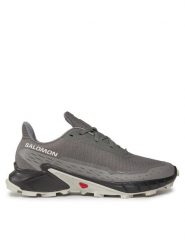 Salomon Buty do biegania Alphacross 5 473133 29 W0 Szary. Szare buty do biegania Salomon, bez wzorów, z materiału, bez zapięcia, do biegania. Za 419.99 zł.