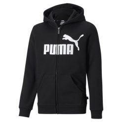 Młodzieżowa bluza z kapturem Essentials, z dużym logo i zapięciem na zamek na. Czarna bluzy z kapturem Puma, m, bez wzorów, z bawełny, z kapturem. Za 132.10 zł.
